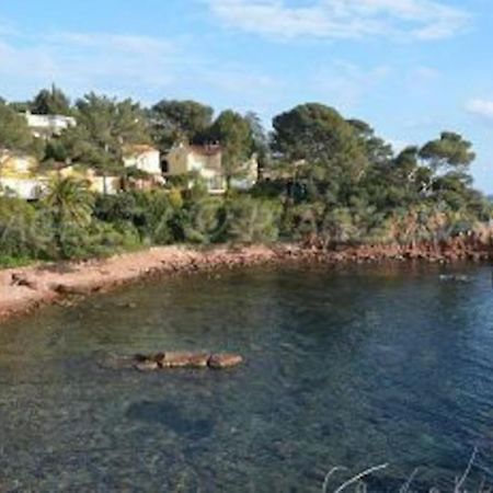 Appartement L'Evasion, Vue Mer, Plages A Pied Fréjus 外观 照片