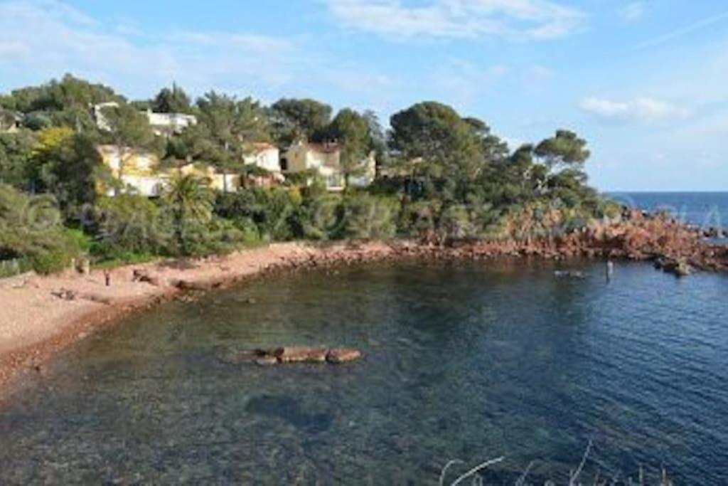 Appartement L'Evasion, Vue Mer, Plages A Pied Fréjus 外观 照片
